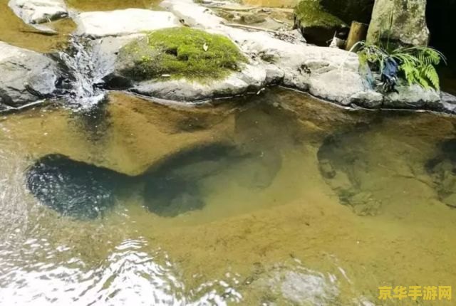 原神地图找不到越石村 原神探索之旅：寻找隐秘的越石村
