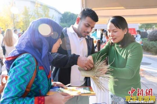 原神不正经的游戏有哪些 原神中的非传统玩法探索