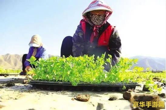 原神解冻所有碎片第三处怎么开 原神解冻所有碎片第三处攻略