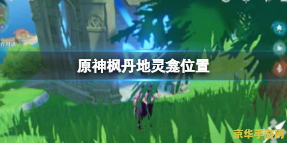 原神坚果位置 原神中的坚果位置探索