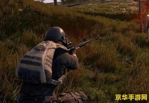 绝地求生 游戏 绝地求生：生存的艺术