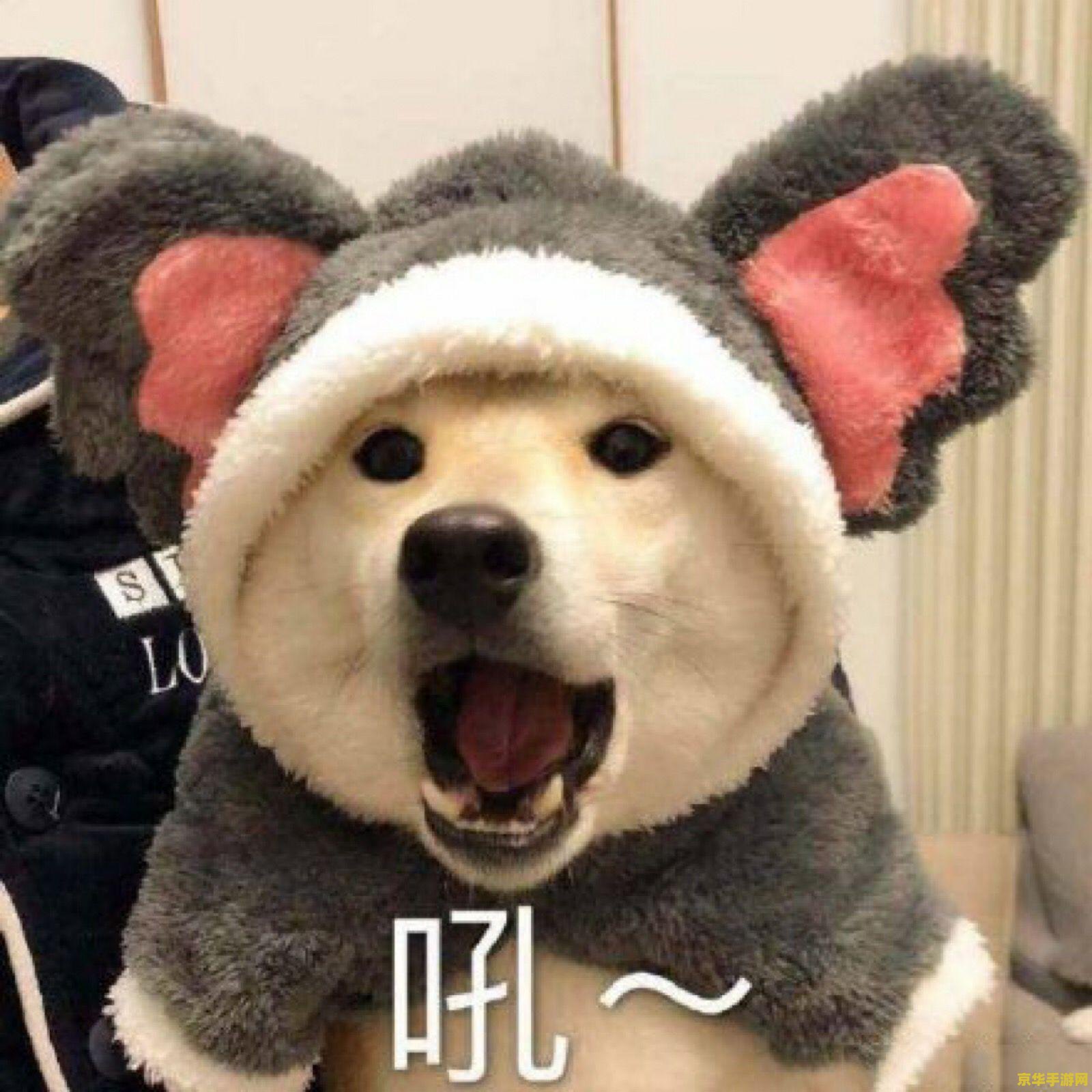 英雄联盟阿卡丽沙雕头像 英雄联盟阿卡丽：沙雕头像背后的游戏魅力