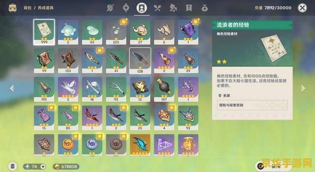原神怎么进入地中之盐 原神探索指南：如何进入地中之盐