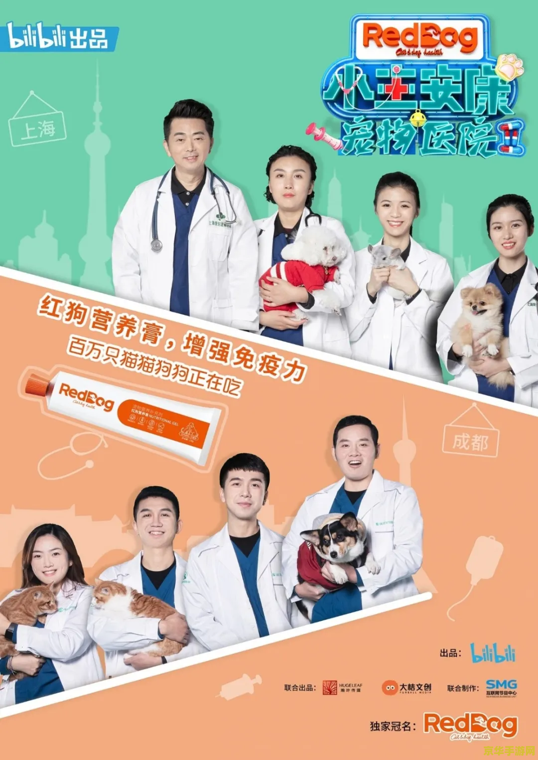 无颜之月我是看守专用宠物无修剪皮皮虾 无颜之月：守护者的秘密宠物——皮皮虾传奇