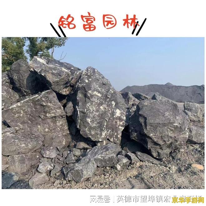 巫师之怒灵能者 巫师之怒:灵能者的崛起 巫师之怒灵能者 巫师之怒:灵能者的崛起
