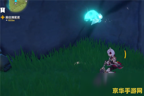 原神塞西莉亚4个小精灵在哪里 原神塞西莉亚4个小精灵探寻记