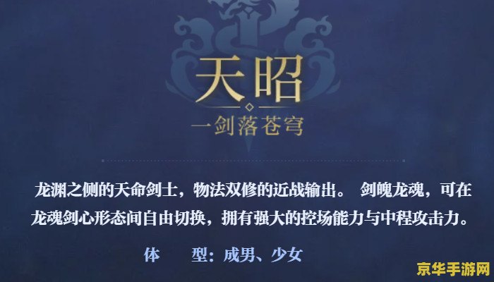 dnf百分比职业 dnf百分比职业深度解析：技能特点与玩法策略