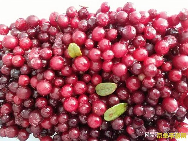 qq飞车怎么卡车 QQ飞车卡车技巧解析