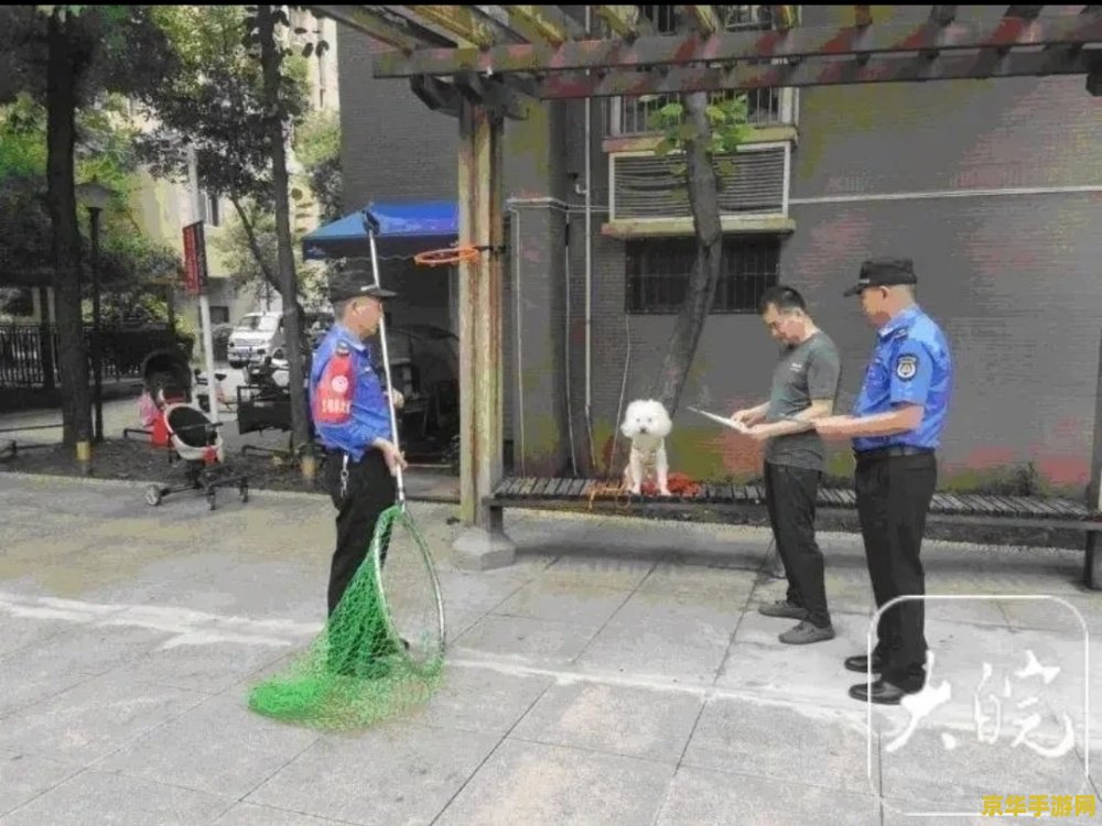 洛克王国翼龙在哪抓 洛克王国翼龙捕捉指南 洛克王国翼龙在哪抓 洛克王国翼龙捕捉指南