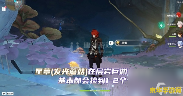 原神奇怪的岩石照片任务 原神中的神秘岩石照片任务：探索与解谜的乐趣