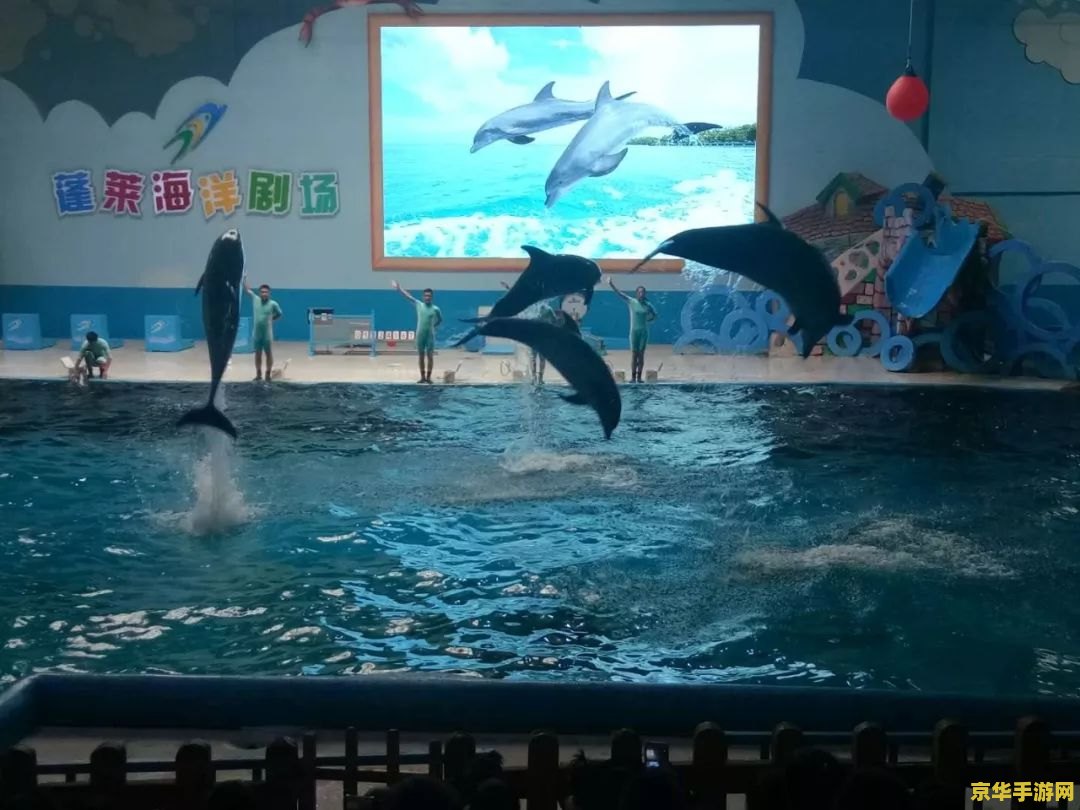 原神海岛海上船隐藏任务 原神海岛海上船隐藏任务探索