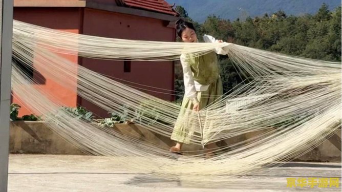 流离岛攻略 流离岛探险指南：探索未知，征服挑战