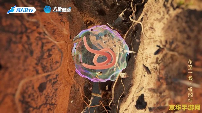 原神3d动画在哪里看 原神3D动画欣赏指南