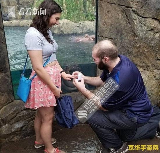 英雄联盟菲奥娜未婚夫 英雄联盟菲奥娜未婚夫揭秘