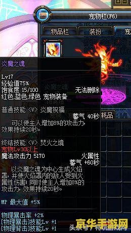 dnf 宠物 dnf宠物系统深度解析：战斗中的得力助手