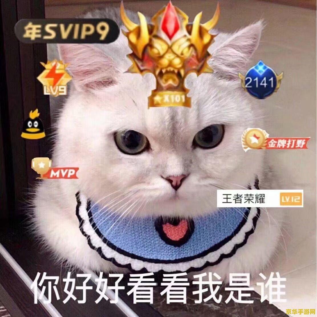 苹果机王者荣耀怎么下 王者荣耀在苹果设备上的下载与游戏魅力