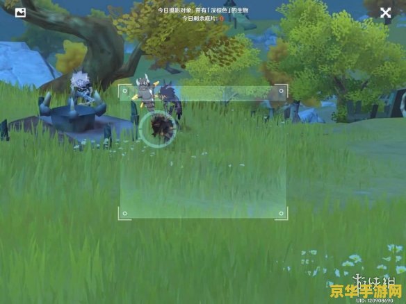 原神福至五彩深棕色 原神福至五彩深棕色：探索游戏中的深邃世界