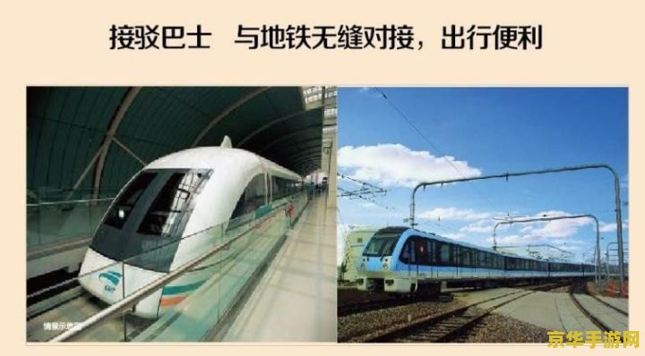 玫瑰小镇断枝 玫瑰小镇断枝：绽放与凋零间的策略之战