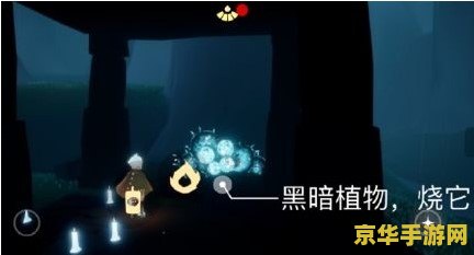 光遇霞谷所有先祖位置 光遇霞谷先祖探索指南
