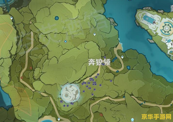 原神钩果在哪里采集 原神钩果采集地点详解