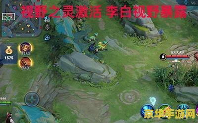 王者荣耀怎么查看视野 王者荣耀视野机制详解：如何查看与利用视野优势