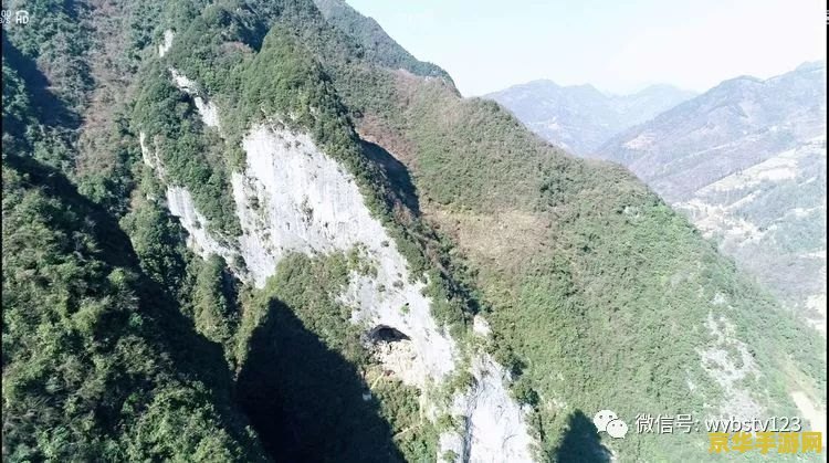 梦幻诛仙宝宝图鉴 梦幻诛仙宝宝图鉴探秘：仙兽萌宠悉数登场