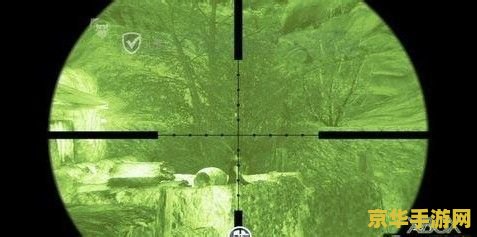 荣誉勋章2010 荣誉勋章2010：现代战场的荣耀与牺牲