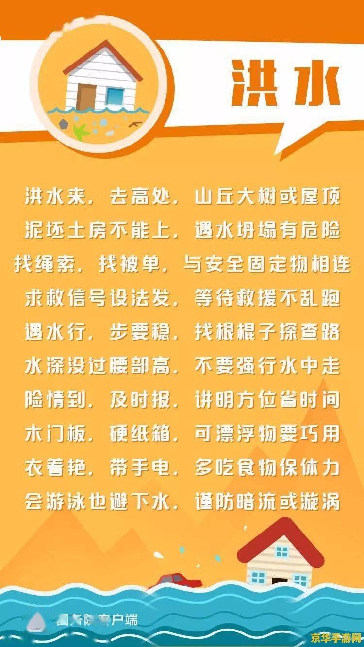 虚拟村庄5攻略 虚拟村庄5：繁荣之路攻略指南