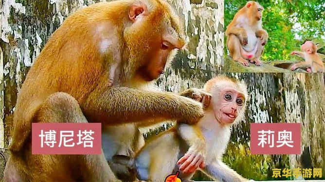 原神可莉被分s 原神可莉角色深度解析：魅力、能力与玩家情感纽带