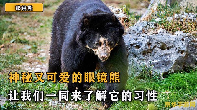原神沙漠壁画 原神沙漠壁画：探索古文明的秘密