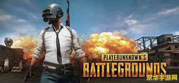 pubg激活码 绝地求生：大逃杀激活码获取与游戏深度解析