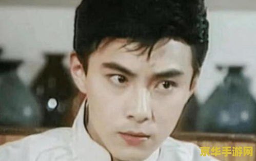 模拟农场2013汉化 模拟农场2013中文版：体验真实的农场生活