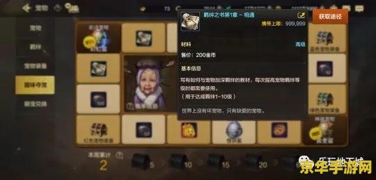 dnf宠物饲料 dnf宠物饲料：喂养与战斗的艺术