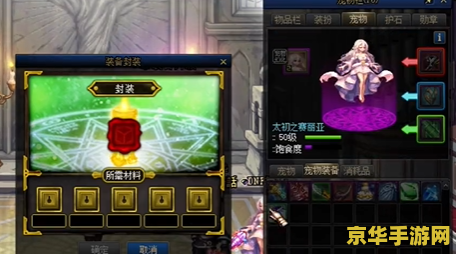 dnf宠物撒共 DNF宠物撒共：探索虚拟世界中的独特伙伴