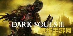 黑暗之魂3骑士加点 黑暗之魂3骑士加点策略与战斗艺术