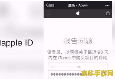 王者荣耀充值错误怎么退款 王者荣耀充值错误退款指南