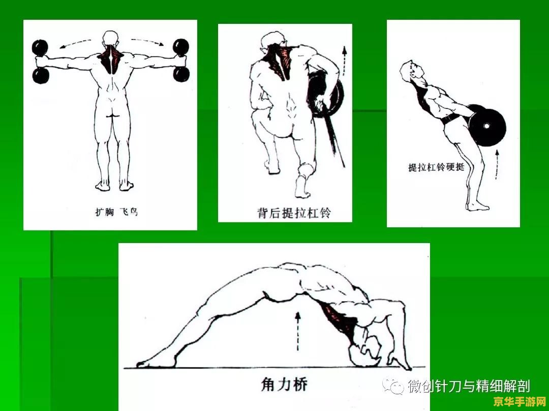狼人杀术语 狼人杀术语解析