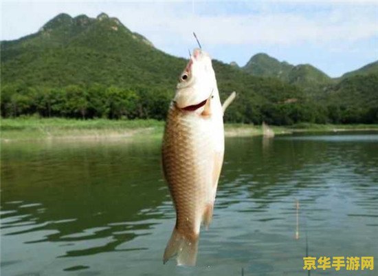 原神里渔获三种鱼在哪里钓 原神中渔获三种鱼的位置与钓鱼技巧