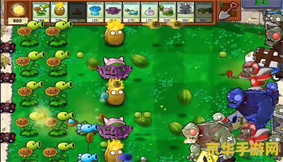 植物大战僵尸之星球大战版 植物大战僵尸：星际争霸战