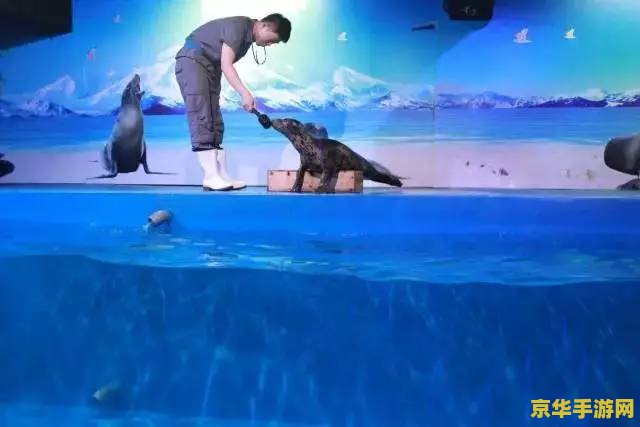 原神潮汐送信剧情 原神中的潮汐送信：探索海洋深处的秘密