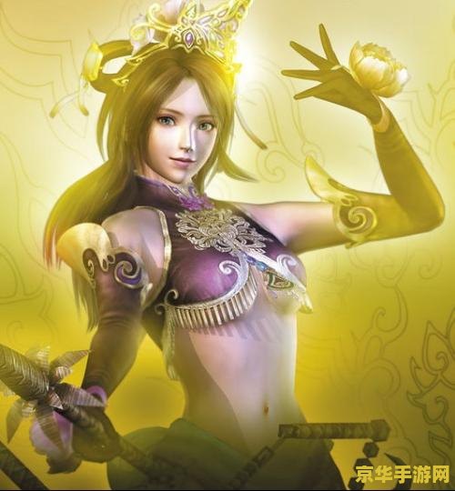 真三国无双5 修改器 真三国无双5游戏修改器深度解析