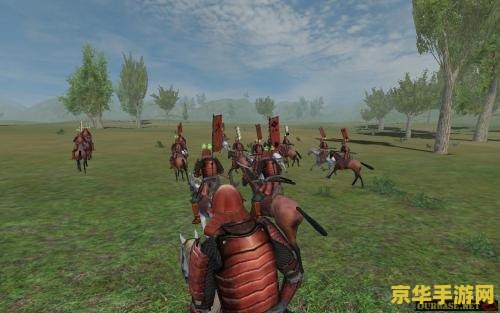 骑马与砍杀战团mod 骑马与砍杀战团MOD深度解析