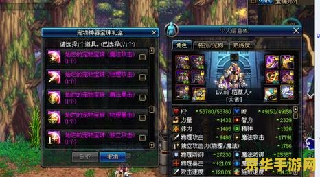 dnf称号附魔宝珠 DNF称号附魔宝珠：探索游戏中的独特魅力