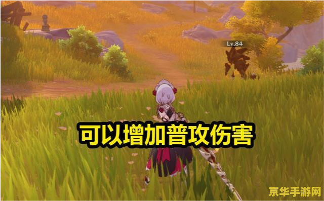 原神找不到萍姥姥 原神探索之旅：寻找萍姥姥的足迹
