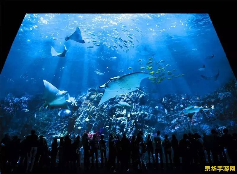海洋公园攻略 海洋公园探险指南：玩转水族世界，探索海底奥秘
