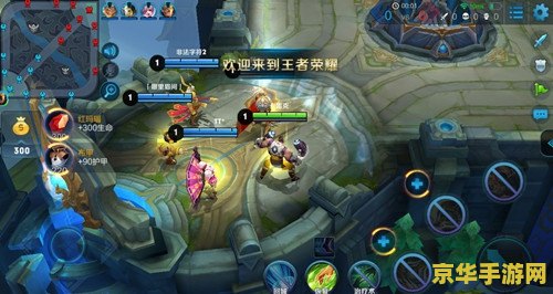王者荣耀五个人怎么 王者荣耀五人协作攻略：英雄搭配与战术布局