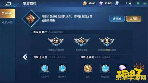 王者荣耀怎么查看vip等级 王者荣耀VIP等级查看与特权详解