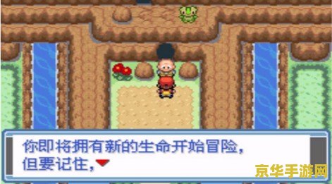 口袋妖怪xyz 口袋妖怪XYZ：探索未知的妖怪世界