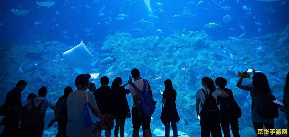 海洋公园攻略 海洋公园探险指南：玩转水族世界，探索海底奥秘