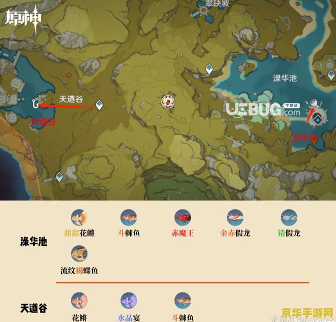 原神鱼的种类及位置 原神中的鱼类及其分布地点